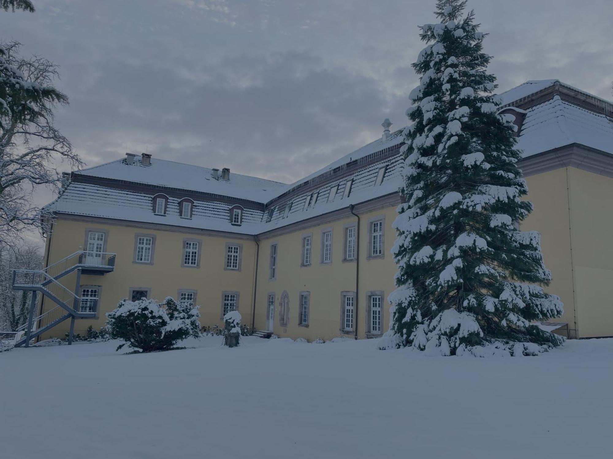 Hotel Schloss Hoehnscheid Bad Arolsen Eksteriør bilde